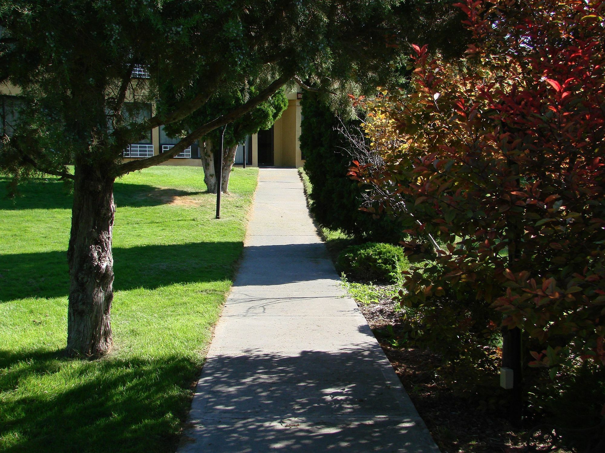 Econo Lodge Near Snake River Idaho Falls Exterior photo